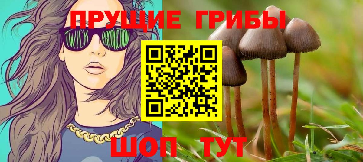 Галлюциногенные грибы Magic Shrooms Луга
