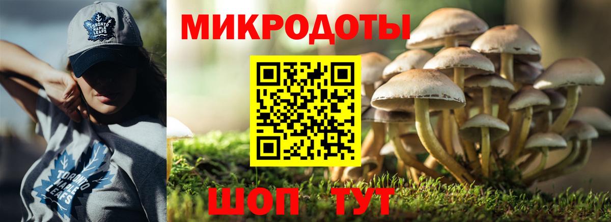 Галлюциногенные грибы Cubensis  Псилоцибиновые грибы Psilocybe  Луга  Вход с VPN 