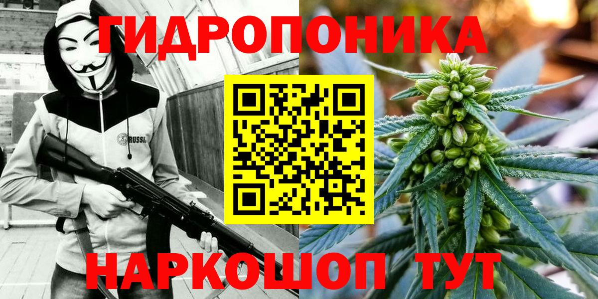 Каннабис Bruce Banner Луга
